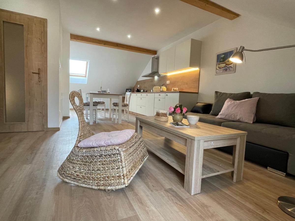 Apartmany Basta & Wellness Sušice Extérieur photo
