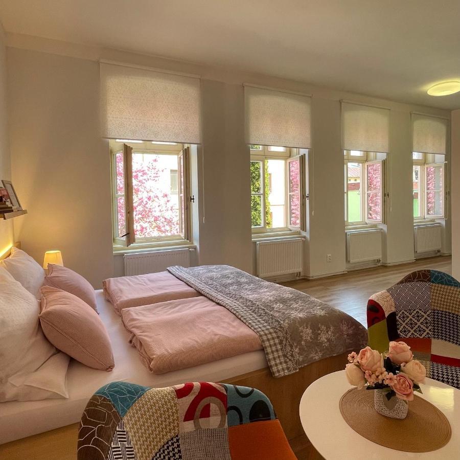 Apartmany Basta & Wellness Sušice Extérieur photo