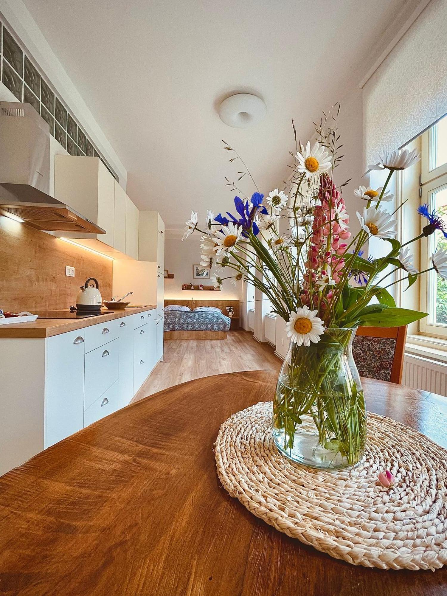Apartmany Basta & Wellness Sušice Extérieur photo