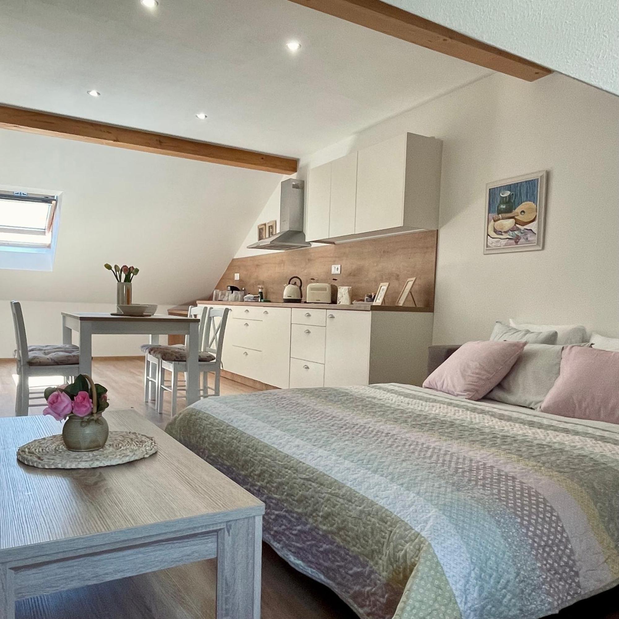 Apartmany Basta & Wellness Sušice Extérieur photo